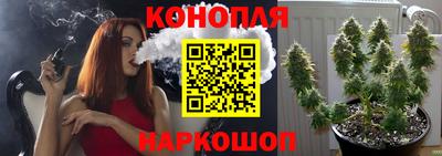 прущие грибы Нягань